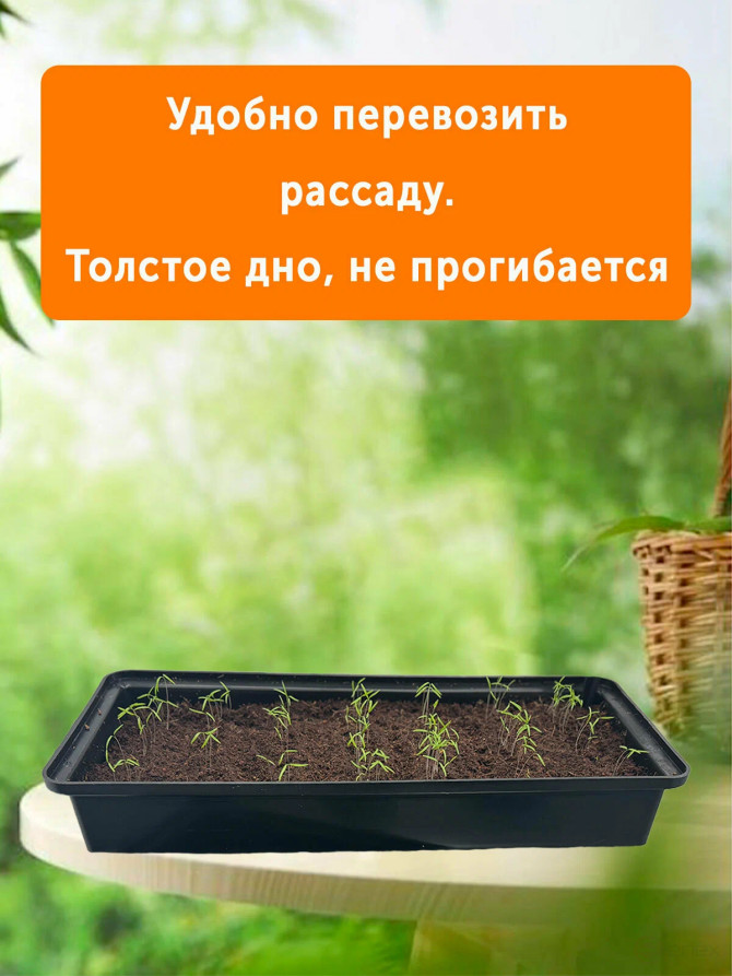 Ящик для рассады комплект 5 штук 45,5х20х7 см пластик