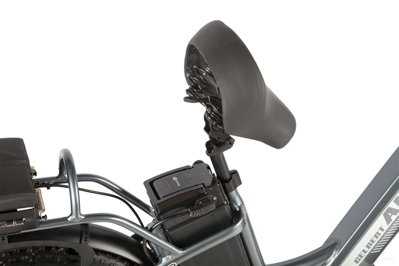 Gelbert ALFA 2 PRO electric bike, black