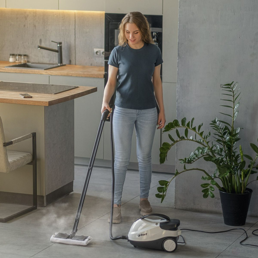 Steam cleaner BORT BDR-2500-RR