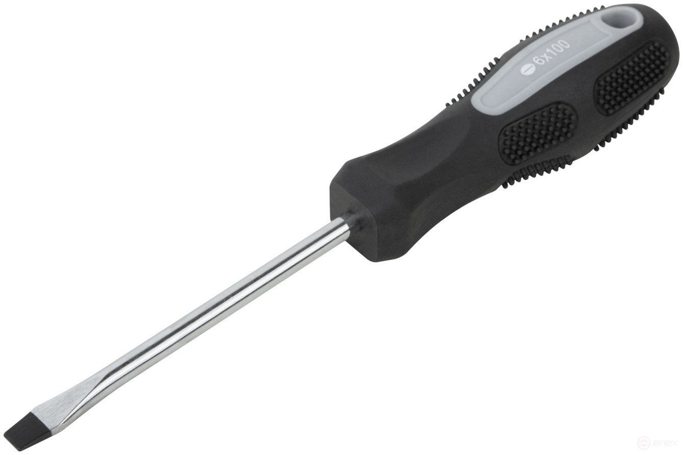 Screwdriver "Master", CrV steel, rubberized handle 6x100 mm SL