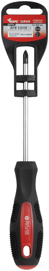 Screwdriver "Master", CrV steel, rubberized handle 5x100 mm PH1