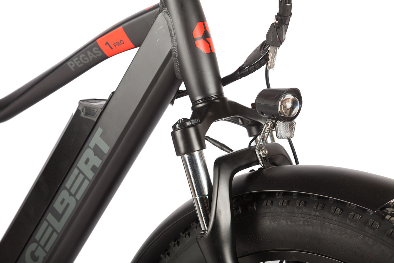 Gelbert Pegas 1 PRO electric bike, beige