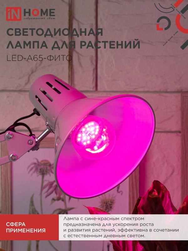 Лампа светодиодная LED-A65 STD-ФИТО красно-синий спектр 25Вт 230В Е27 IN HOME