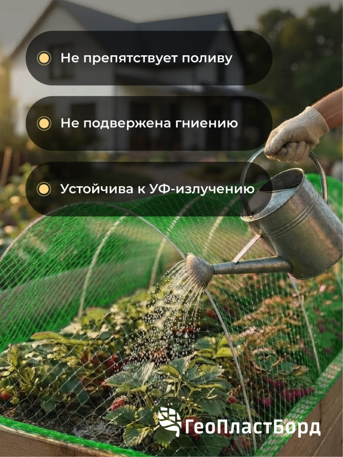 Garden netting to protect plants and crops from birds Geoplastboard 2x10 m color green