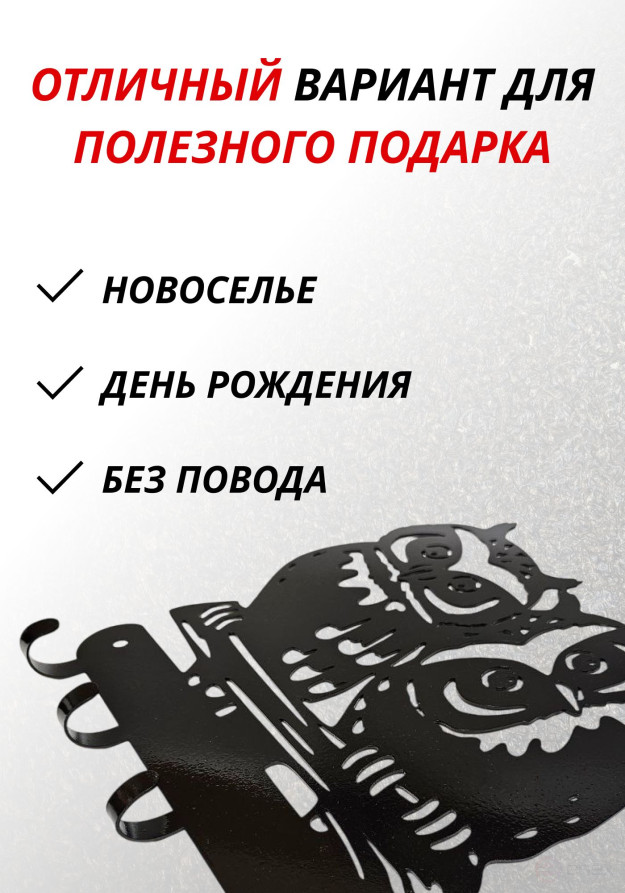 Wall-mounted metal housekeeper "Sovushki"