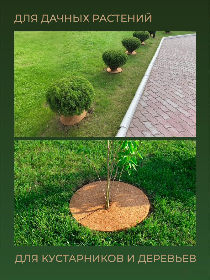 Coconut barrel circle 5 pieces 60 cm Coconut fiber 100 %