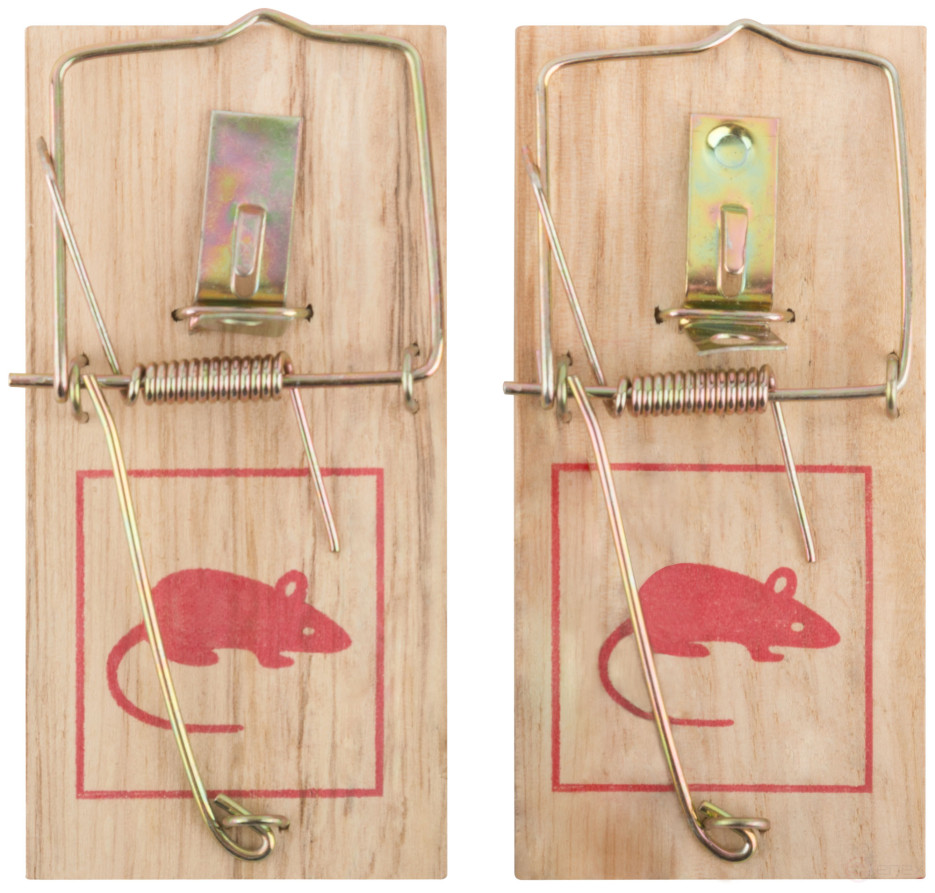Small wooden mousetraps 2 pcs., 100 x 45 mm