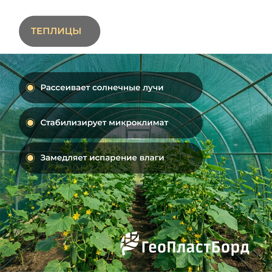 Затеняющая сетка 55% 3x10м с УФ-защита цвет зеленый
