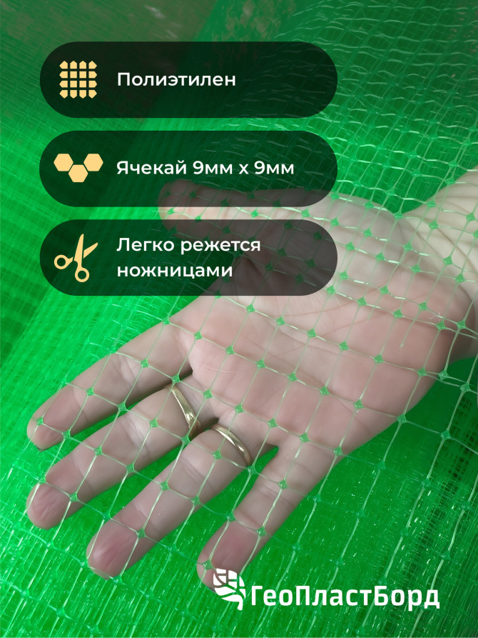 Garden netting to protect plants and crops from birds Geoplastboard 2x10 m color green