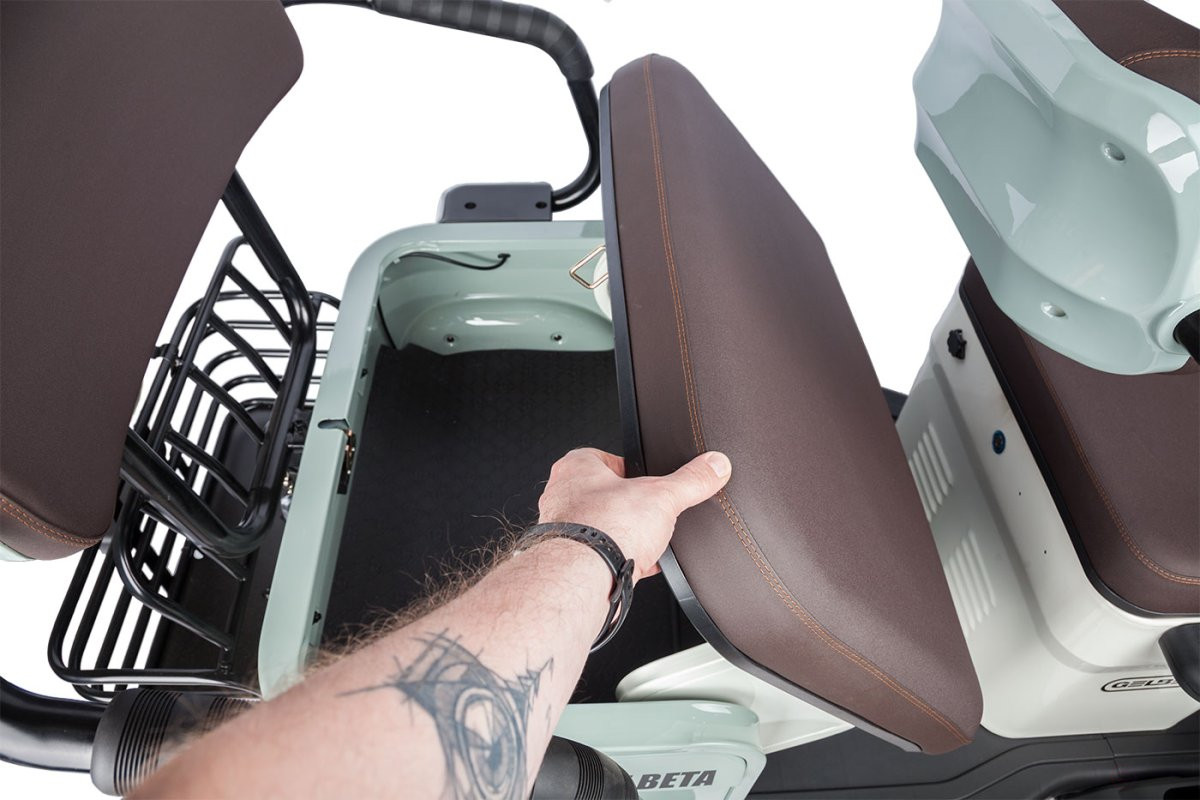 Electric tricycle Rutrike Gelbert Beta 48V/60V 800W, green and white