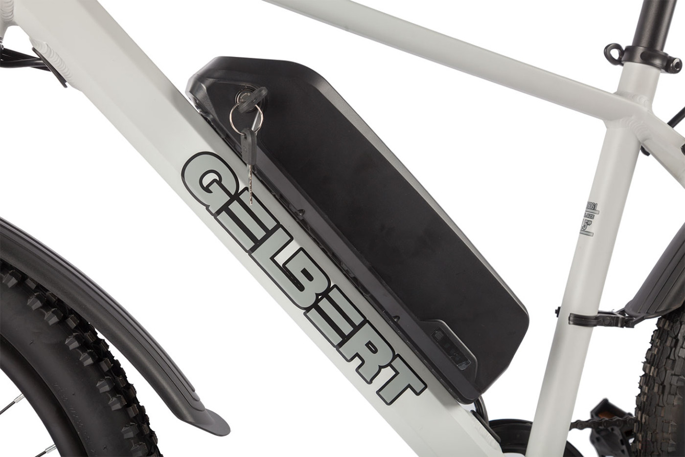 Gelbert Ran 3 PRO electric bike, black