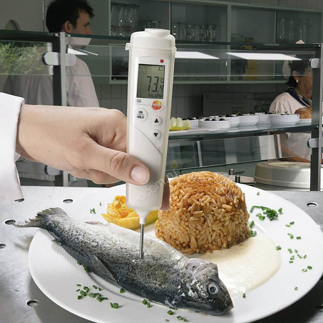 Thermometer Testo 106