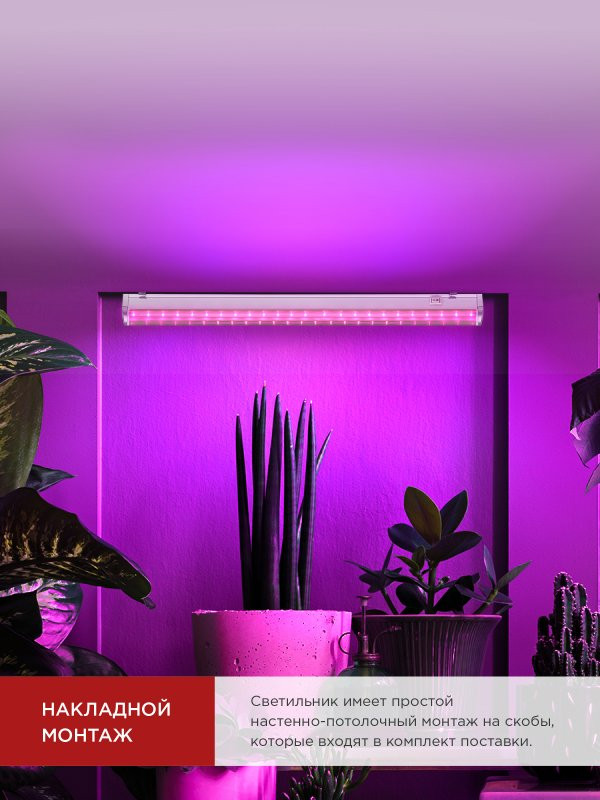 Светильник светодиодный СПБ-Т5 STD-ФИТО красно-синий спектр 20Вт 1200мм IN HOME