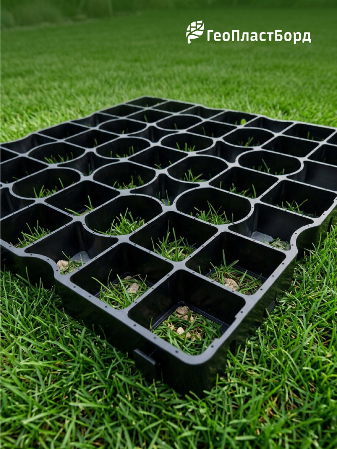 Reinforced lawn grid Geoplastboard, 50 x 50, color black, 4 pcs