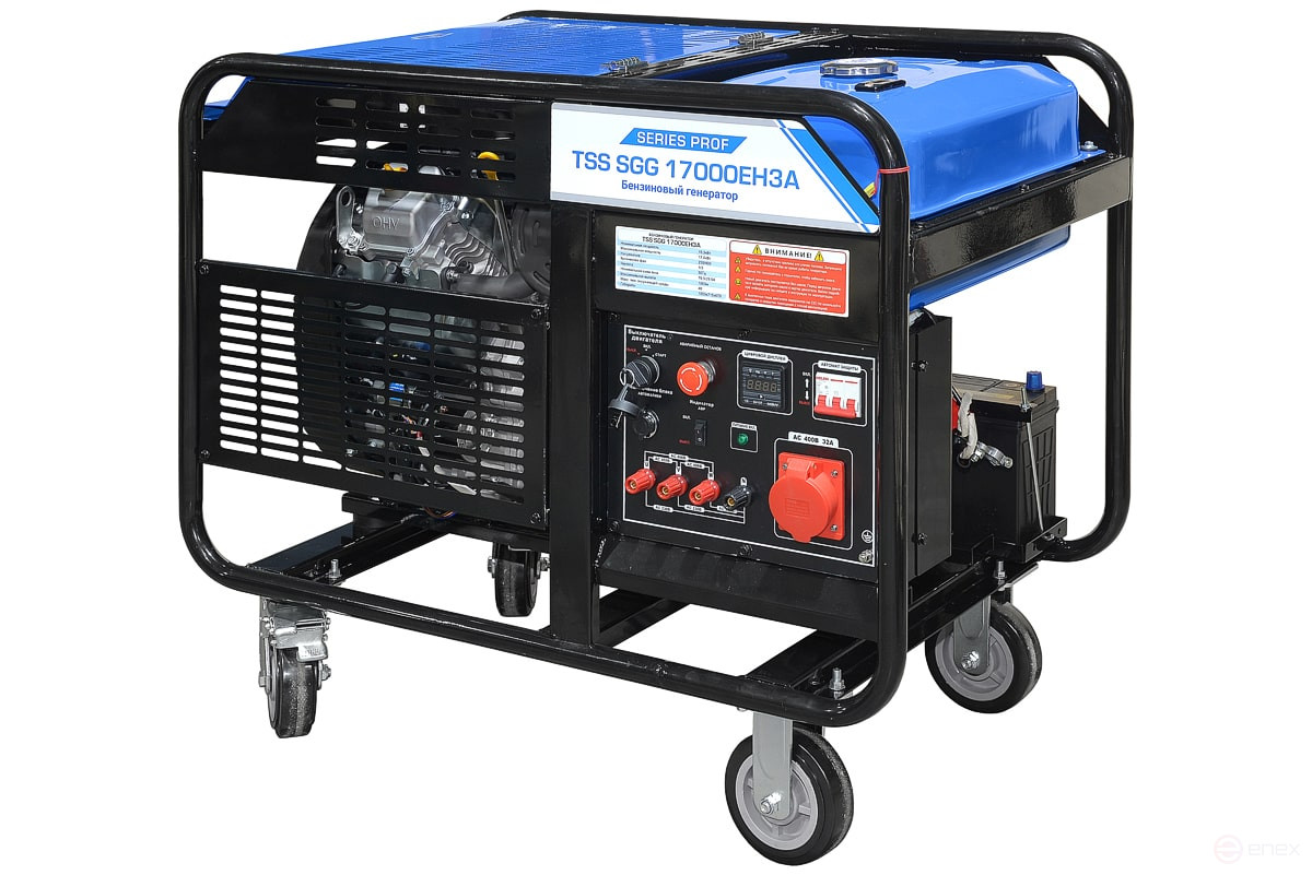 TSS SGG 17000EH3A Gasoline Generator