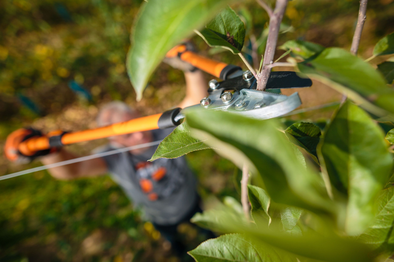 Knot cutter with telescopic steel handle Villager LS 109