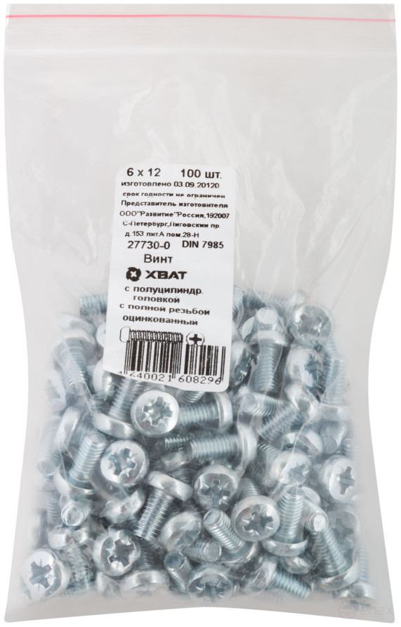 A semi-cylindrical screw. a head with a full thread of pins. DIN 7985 6x12 (packing 100 pcs)