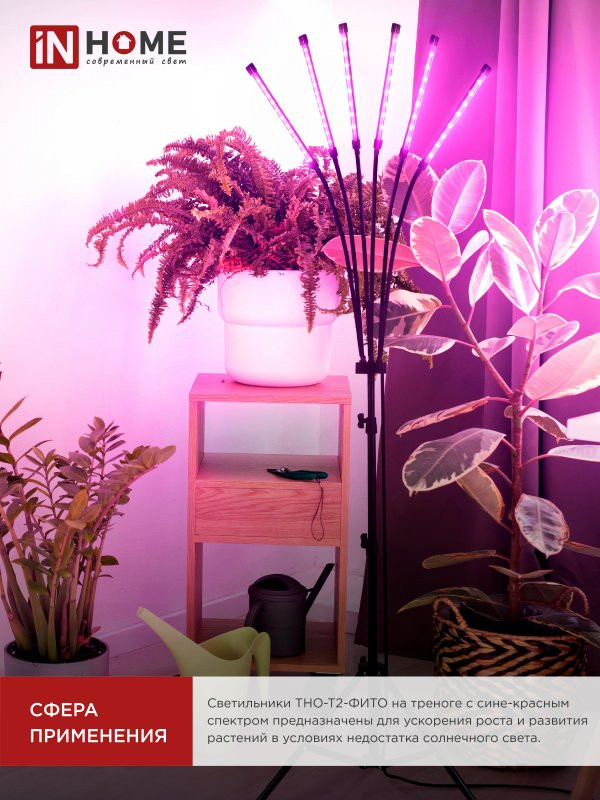 Светильник напольный на треноге светодиодный ТНО-Т2-ФИТО красно-синий 6Т60 60Вт 6 плафонов, пульт на шнуре IN HOME