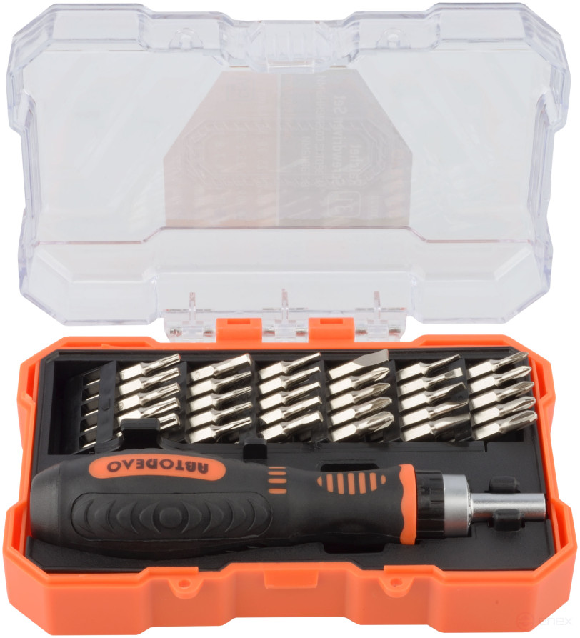 Ratchet screwdriver set with replaceable inserts 31pr.(plast/f) AvtoDelo (30728)