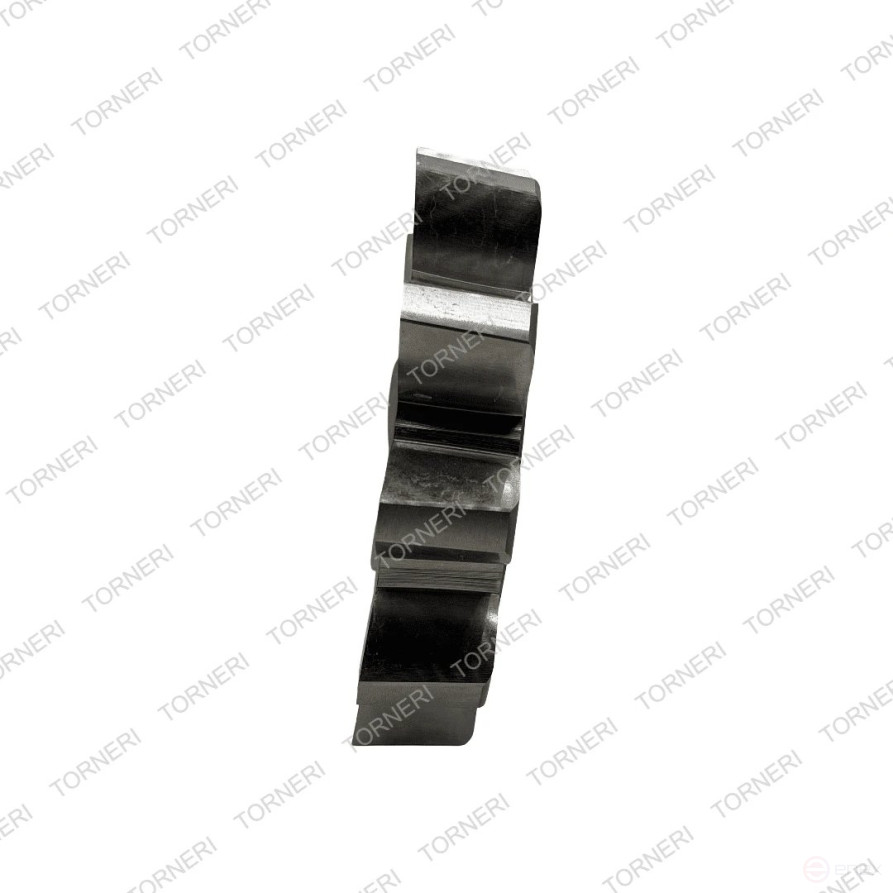 Disk chisel M 10.0, z=10, 30°, D=100 mm, d=44.45 mm (2540-0023) TORNERI T028205