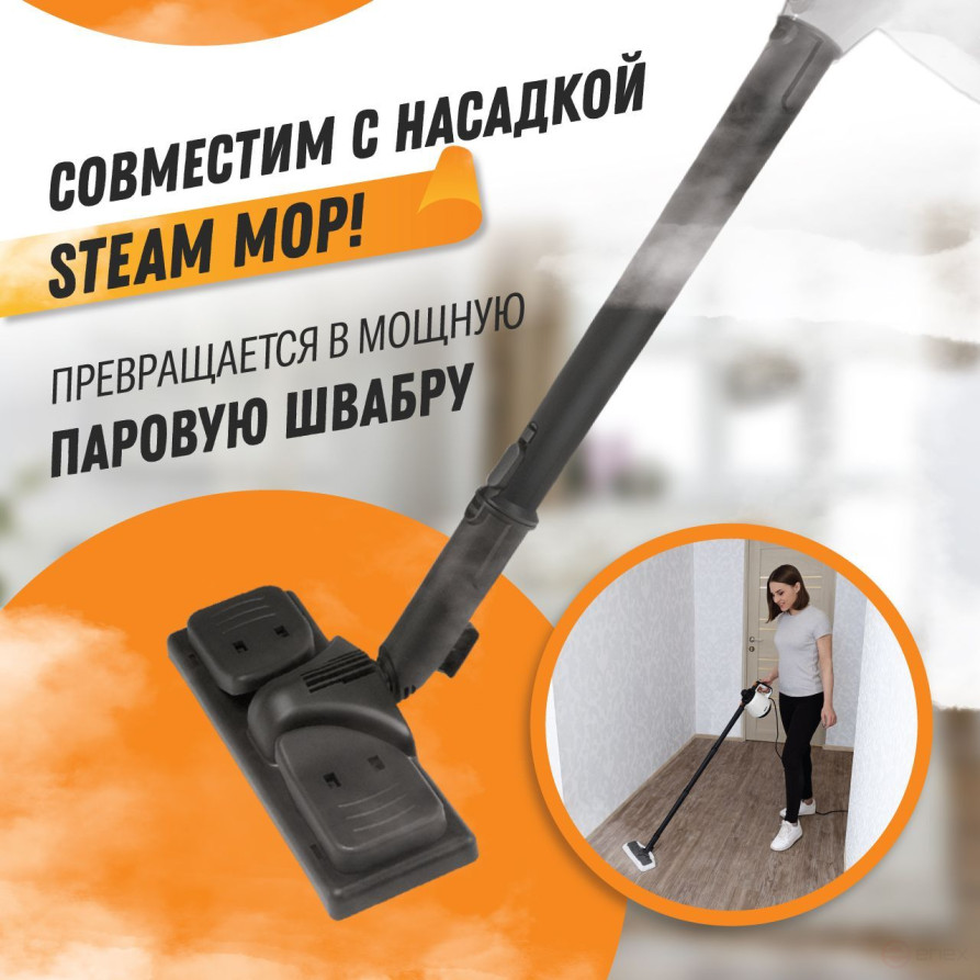 Steam cleaner BORT BDR-2800-RR