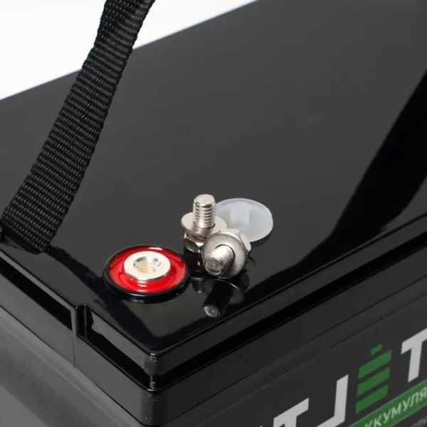 Литиевый аккумулятор тяговый ЛИТДЖЕТ BLACK LiFePO4 24V 52Ah 1331Wh IP67 BMS 60А