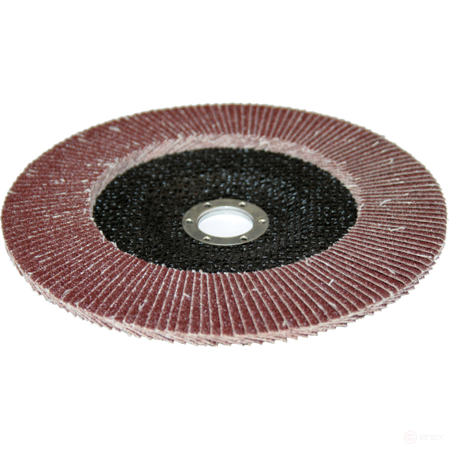 PRAKTIKA petal grinding wheel 180 x 22 mm P60 (1 pc.) Profi series (032-409)