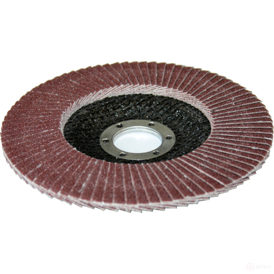 PRAKTIKA petal grinding wheel 125 x 22 mm P100 (1 pc.) Profi series (032-386)