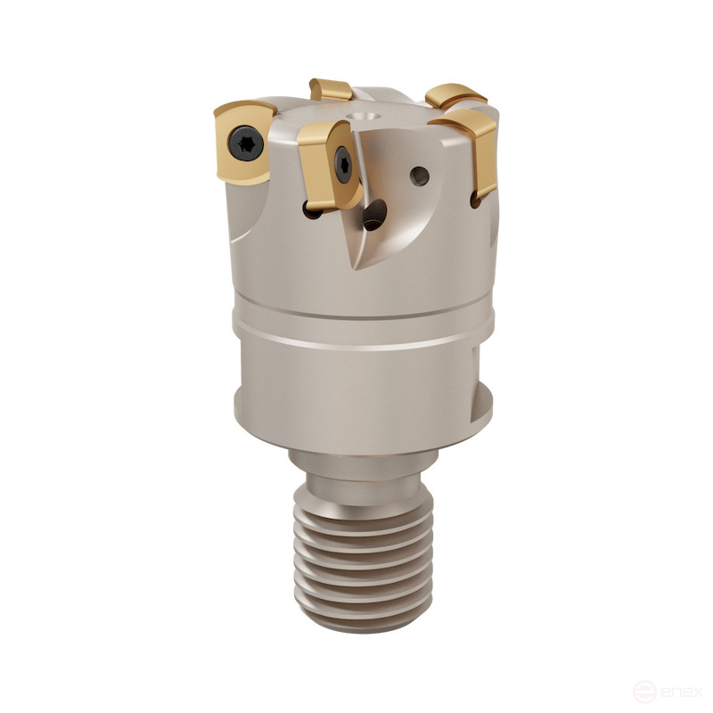 BLM. 0603 Tgtc end mill d-25 mm, L-60 mm, Z-4, with screw shank M 12