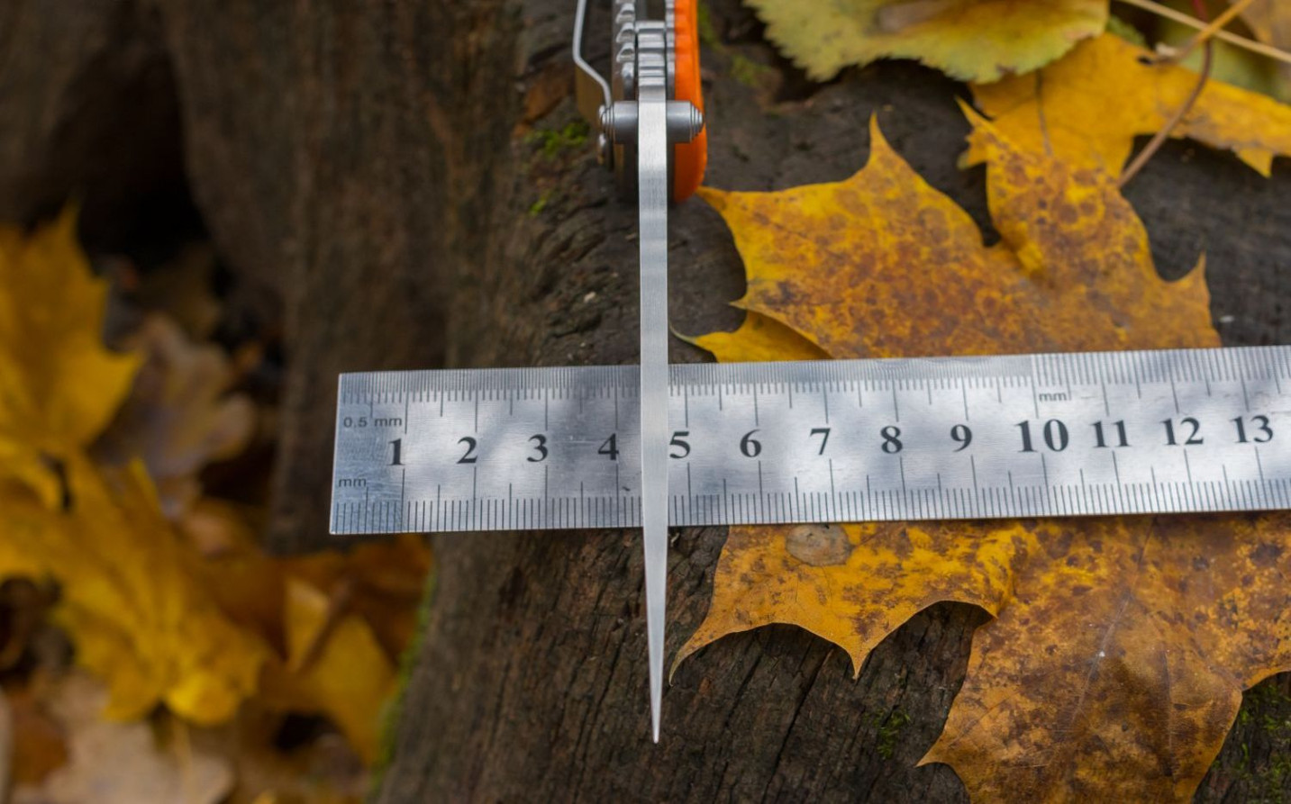 Нож Ganzo G723M черный