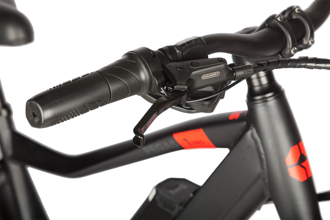 Gelbert Pegas 1 PRO electric bike, beige