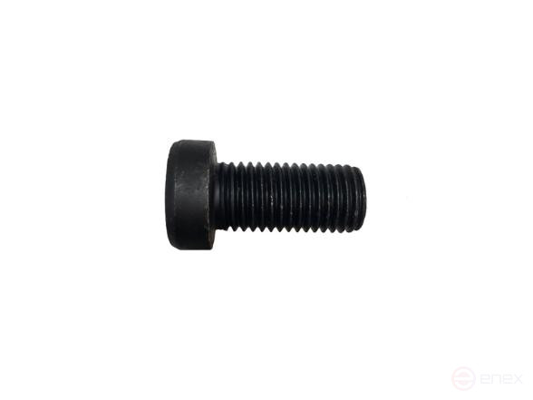 Винт М20 внутренний шестигранник 14 WSS20040 «Русский Инструмент» (РИ)