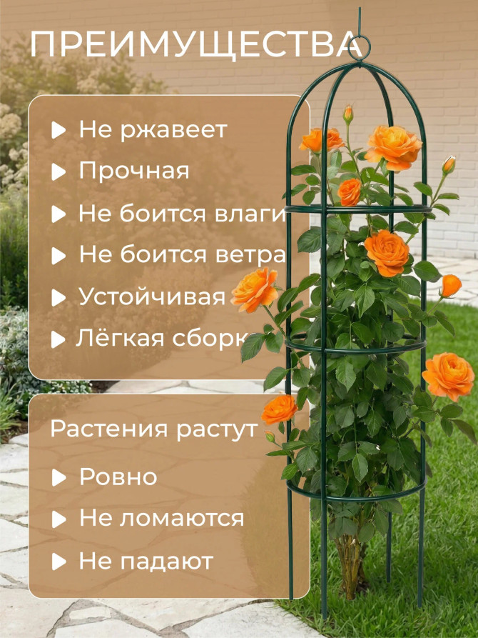 Geoplastboard support for roses, collapsible, height 185cm, metal