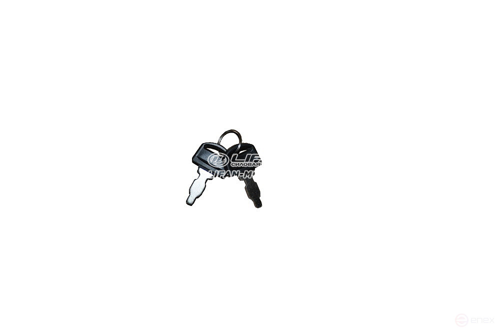 Ignition key (set) 31258