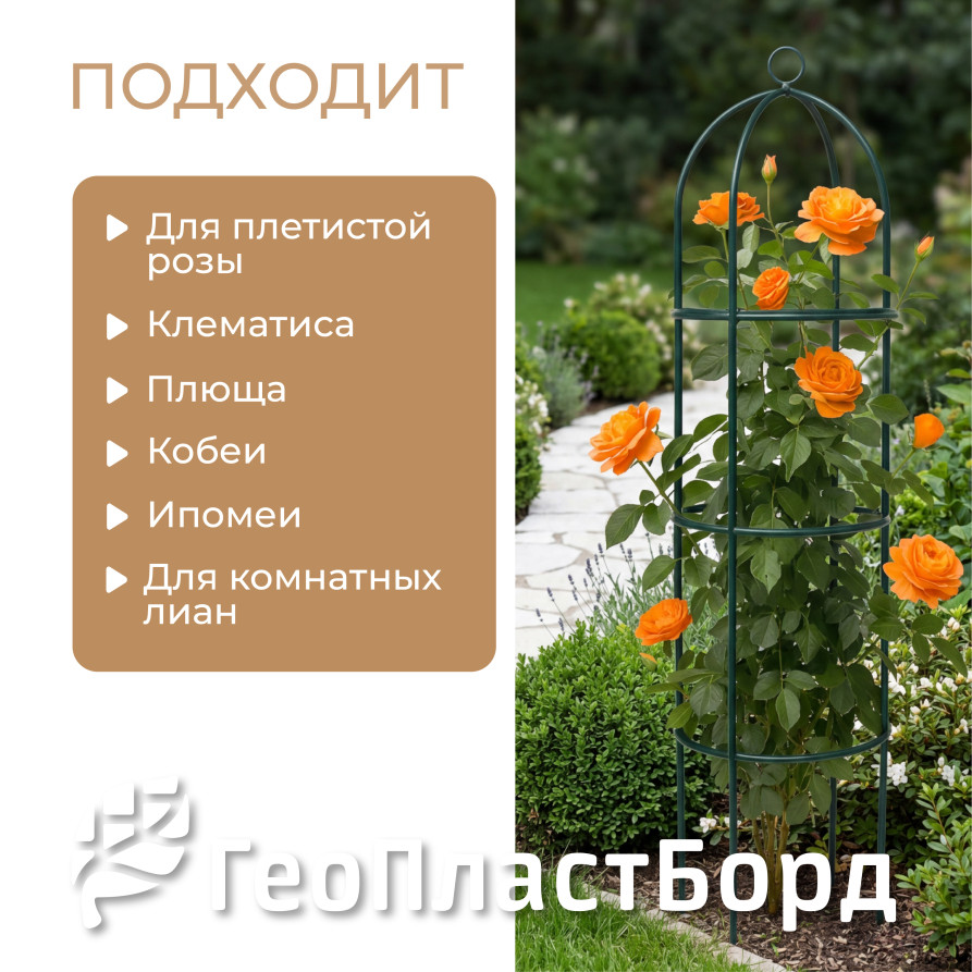 Geoplastboard support for roses, collapsible, height 185cm, metal