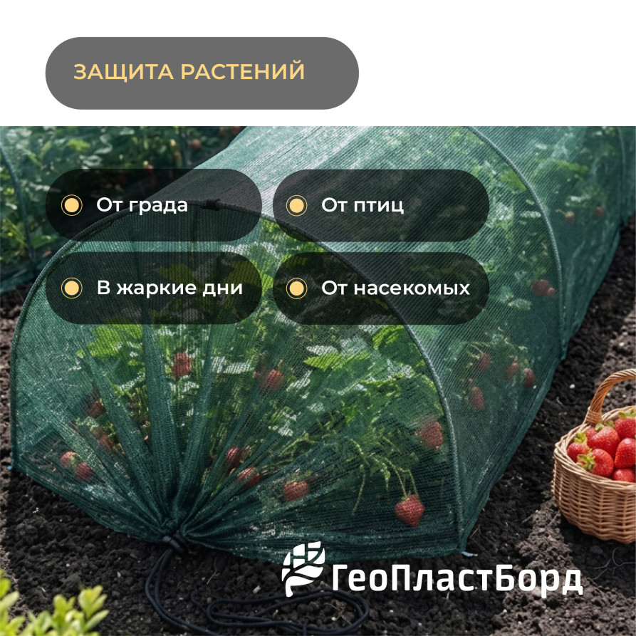 Затеняющая сетка 55% 3x10м с УФ-защита цвет зеленый