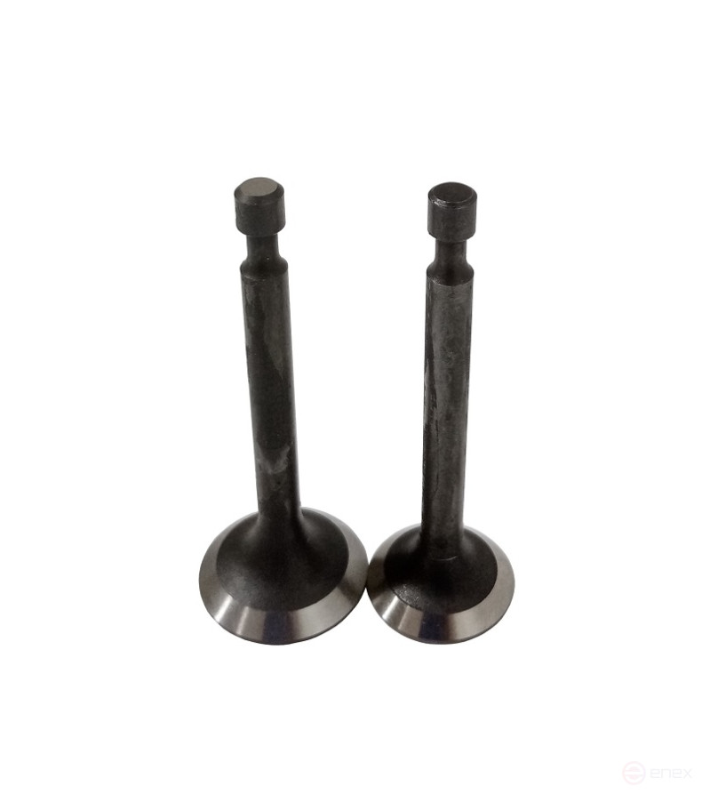 Клапаны (пара) LC1P65FA(FE)/500550034-0001