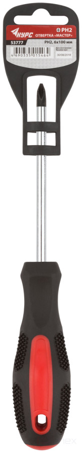 Screwdriver "Master", CrV steel, rubberized handle 6x100 mm PH2