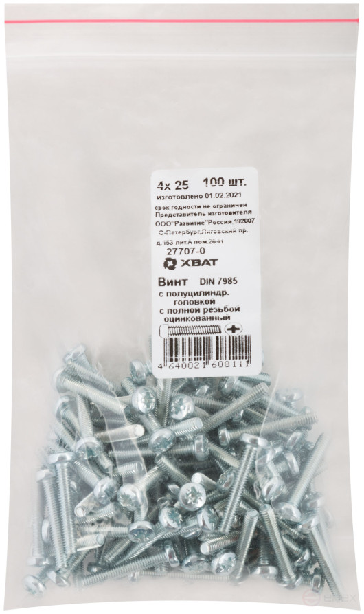 A semi-cylindrical screw. a head with a full thread of pins. DIN 7985 4x25 (packing 100 pcs)