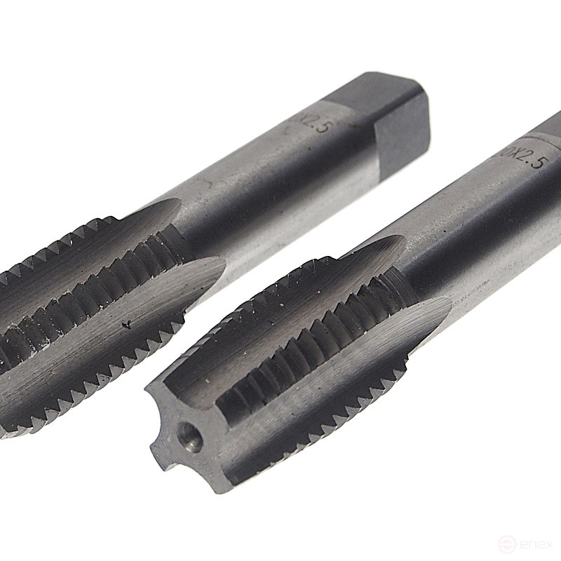 Tap ER-02025M M20x2.5 (2 pcs),in a plastic case EUREKA /1