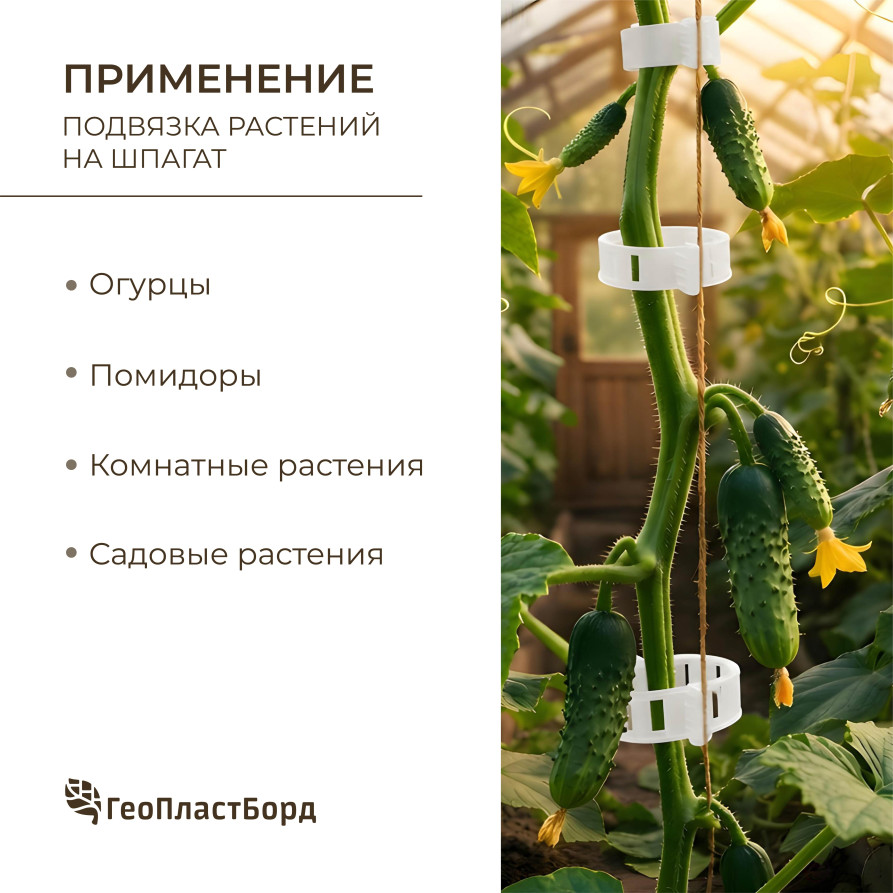 Garden clip for garter plants, set of 100 pcs., color transparent