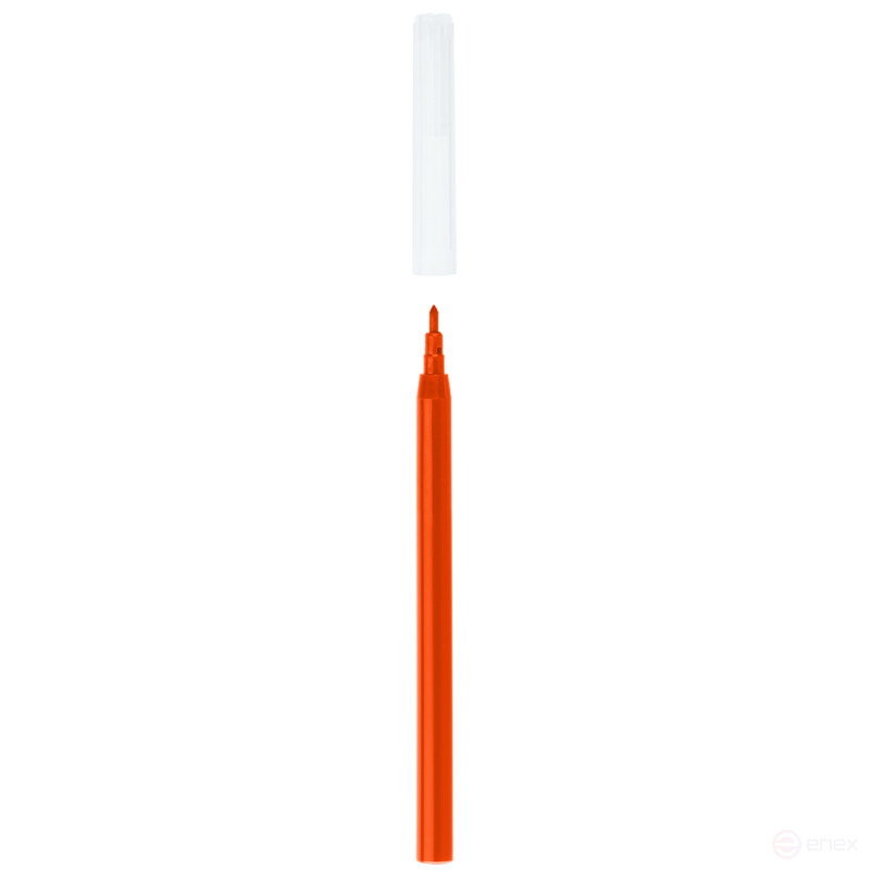 Фломастеры СТАММ "Яблоко", 12цв., смываемые, пластик. пенал, европодвес