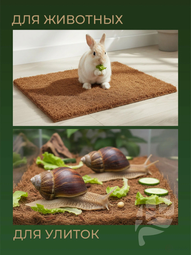 Coconut mulch in a roll Geoplastboard, covering material 1x3 m