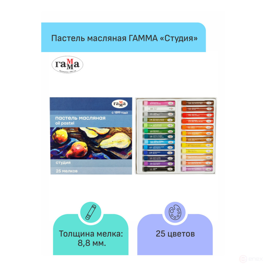 Pastel oil Scale "Studio", 25 colors, cardboard. packaging