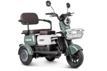 Электротрицикл Rutrike Gelbert Sun 48V/60V 650Вт, зелено-белый