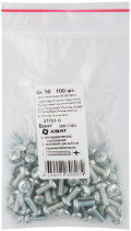 A semi-cylindrical screw. a head with a full thread of pins. DIN 7985 4x10 (packing 100 pcs)