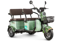Electric tricycle Rutrike Gelbert Kang 48V/60V 800W, green