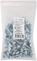 A semi-cylindrical screw. a head with a full thread of pins. DIN 7985 6x20 (packing 100 pcs)