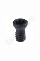 M4x10C Screw