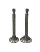 Клапаны (пара) G270F/500550031-0001